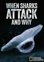 Watch When Sharks Attack... And Why 0123movies