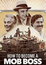 Watch How to Become a Mob Boss 0123movies