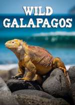 Watch Wild Galapagos 0123movies