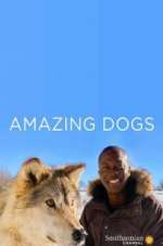 Watch Amazing Dogs 0123movies