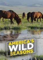 Watch America's Wild Seasons 0123movies