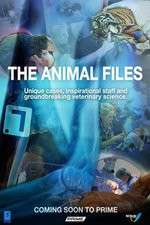 Watch The Animal Files 0123movies
