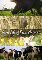 Watch Secret Life of Farm Animals 0123movies