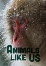 Watch Animals Like Us 0123movies