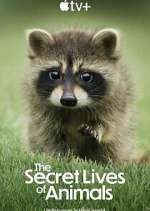 Watch The Secret Lives of Animals 0123movies