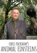 Watch Chris Packham's Animal Einsteins 0123movies