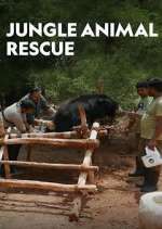 Watch Jungle Animal Rescue 0123movies