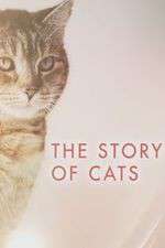 Watch The Story of Cats 0123movies