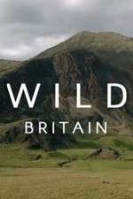 Watch Wild Britain 0123movies