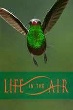 Watch Life in the Air 0123movies