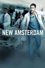 Watch New Amsterdam 0123movies