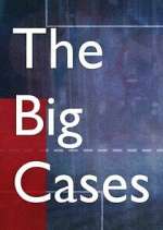 Watch The Big Cases 0123movies