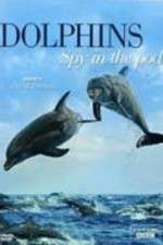 Watch Dolphins: Spy in the Pod 0123movies