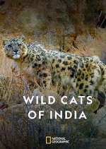 Watch Wild Cats of India 0123movies