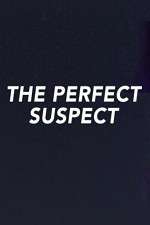 Watch The Perfect Suspect 0123movies