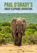 Watch Paul O'Grady's Great Elephant Adventure 0123movies