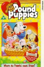 Watch Pound Puppies 0123movies