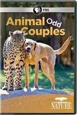 Watch Animal Odd Couples 0123movies