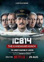 Watch IC 814: The Kandahar Hijack 0123movies