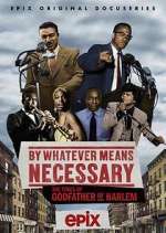 Watch By Whatever Means Necessary: The Times of Godfather of Harlem 0123movies