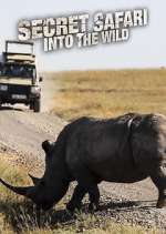 Watch Secret Safari: Into the Wild 0123movies