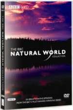 Watch The Natural World 0123movies