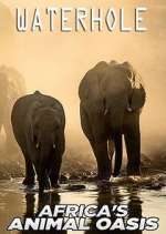 Watch Waterhole: Africa's Animal Oasis 0123movies