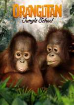 Watch Orangutan Jungle School 0123movies