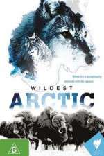 Watch Wildest Arctic 0123movies