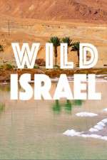 Watch Wild Israel 0123movies