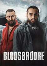 Watch Blodsbrødre 0123movies