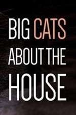 Watch Big Cats About the House 0123movies