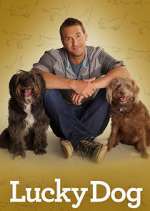 Watch Lucky Dog 0123movies