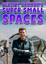 Watch Dermot Bannon's Super Small Spaces 0123movies