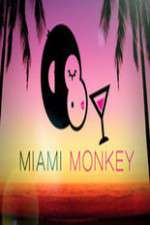 Watch Miami Monkey 0123movies