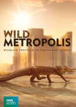 Watch Wild Metropolis 0123movies