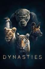 Watch Dynasties 0123movies