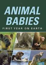 Watch Animal Babies: First Year on Earth 0123movies