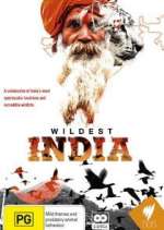 Watch Wildest India 0123movies