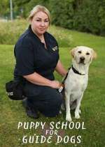 Watch Puppy School for Guide Dogs 0123movies