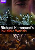 Watch Richard Hammond's Invisible Worlds 0123movies