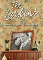 Watch The Larkins 0123movies