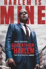 Watch Godfather of Harlem 0123movies