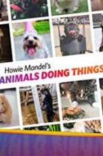 Watch Howie Mandel\'s Animals Doing Things 0123movies