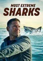 Watch Most Extreme Sharks 0123movies