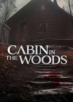 Watch Cabin in the Woods 0123movies