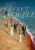 Watch The Perfect Couple 0123movies