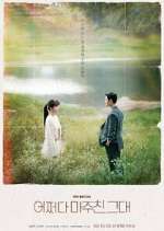 Watch Met You By Chance 0123movies