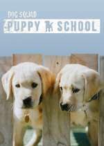 Watch Dog Squad: Puppy School 0123movies