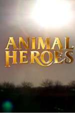 Watch Animal Heroes 0123movies